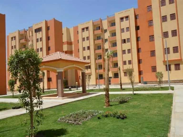 أخبار مصر