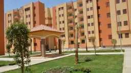أخبار مصر