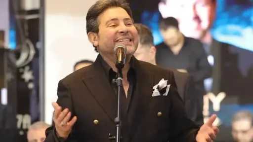 فن