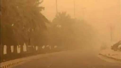 أخبار مصر