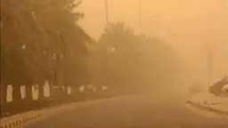 أخبار مصر