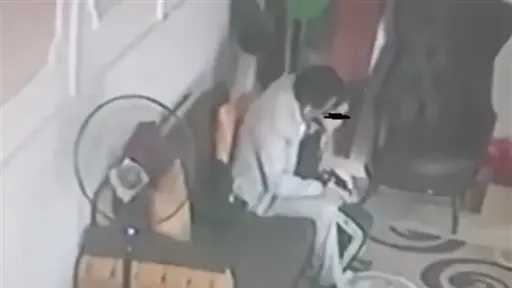 أخبار مصر