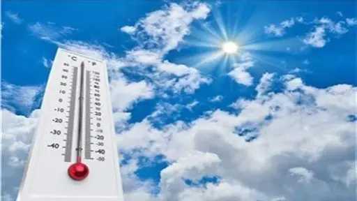أخبار مصر