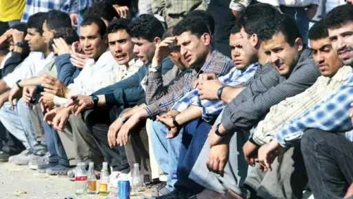 أخبار مصر