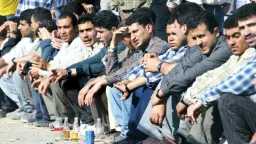 أخبار مصر