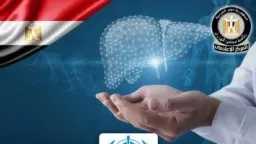 أخبار مصر