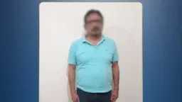 أخبار مصر