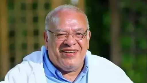 فن