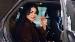 فن