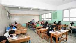 أخبار مصر
