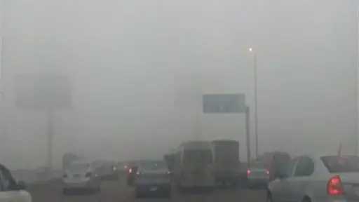 أخبار مصر