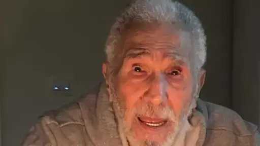 فن