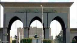 أخبار مصر