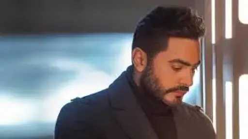 فن