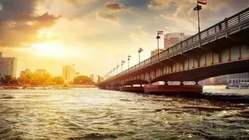أخبار مصر
