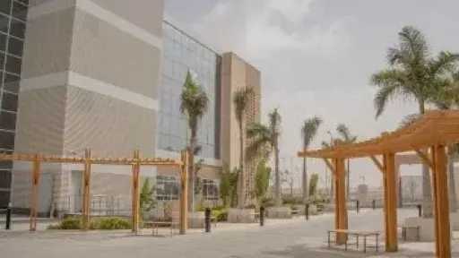 أخبار مصر
