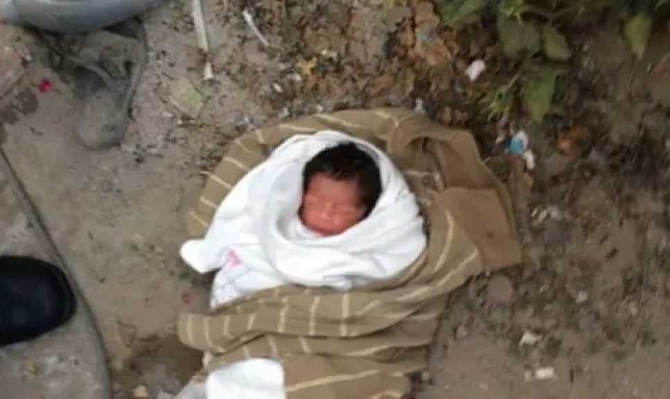 أخبار مصر