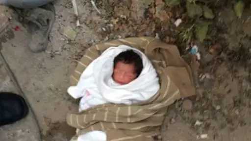 أخبار مصر