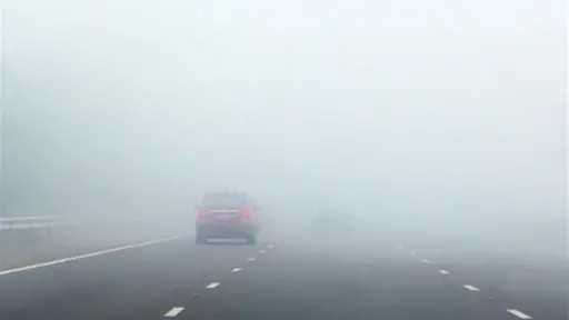 أخبار مصر