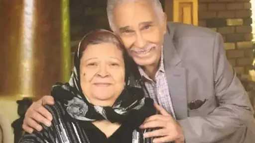 فن