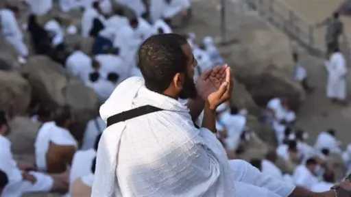 أخبار مصر