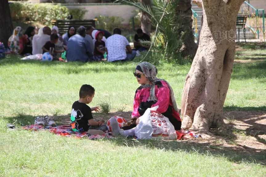 أخبار مصر