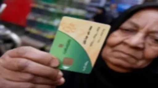 أخبار مصر
