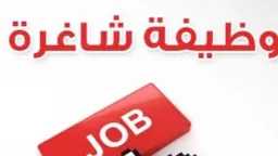 أخبار مصر