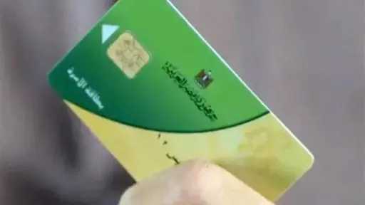 أخبار مصر