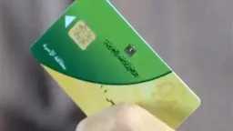 أخبار مصر