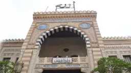 أخبار مصر