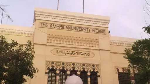 فن