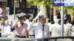 أخبار مصر