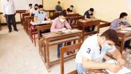 أخبار مصر