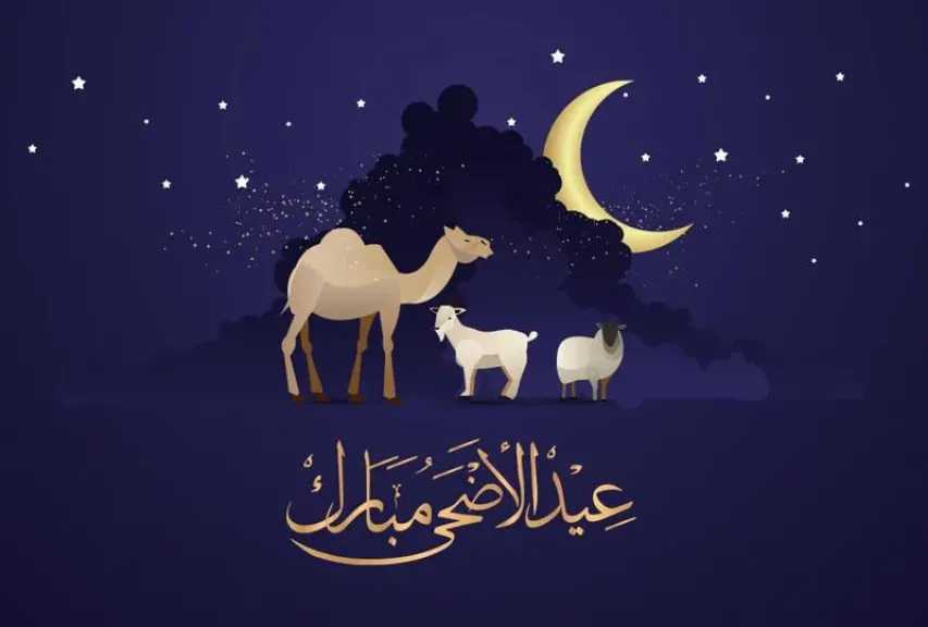 أخبار مصر