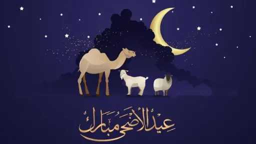أخبار مصر