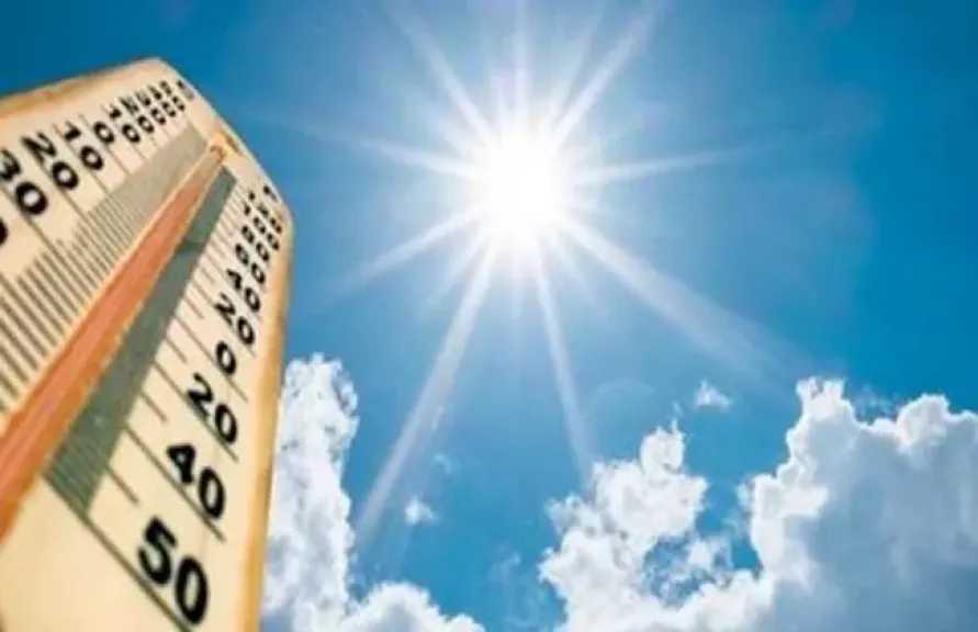 أخبار مصر