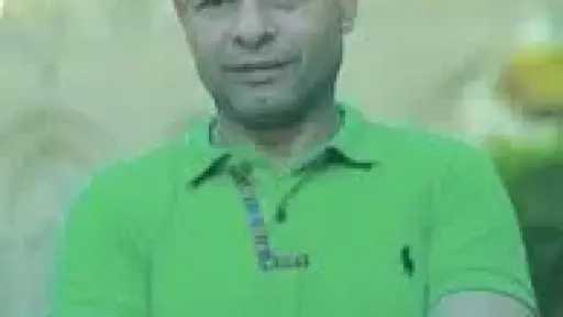 فن