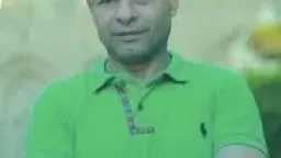 فن