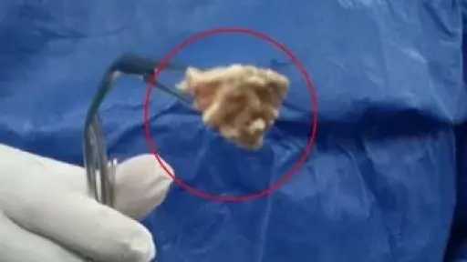 أخبار مصر