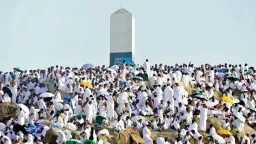 أخبار مصر