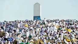 أخبار مصر