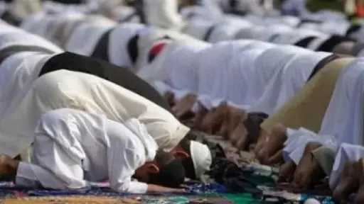أخبار مصر