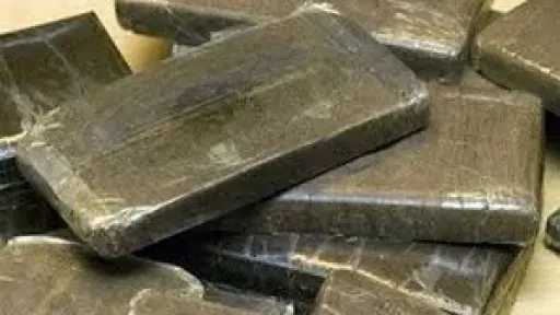 أخبار مصر