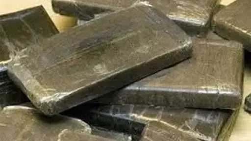 أخبار مصر