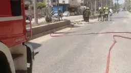 أخبار مصر