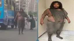 أخبار مصر