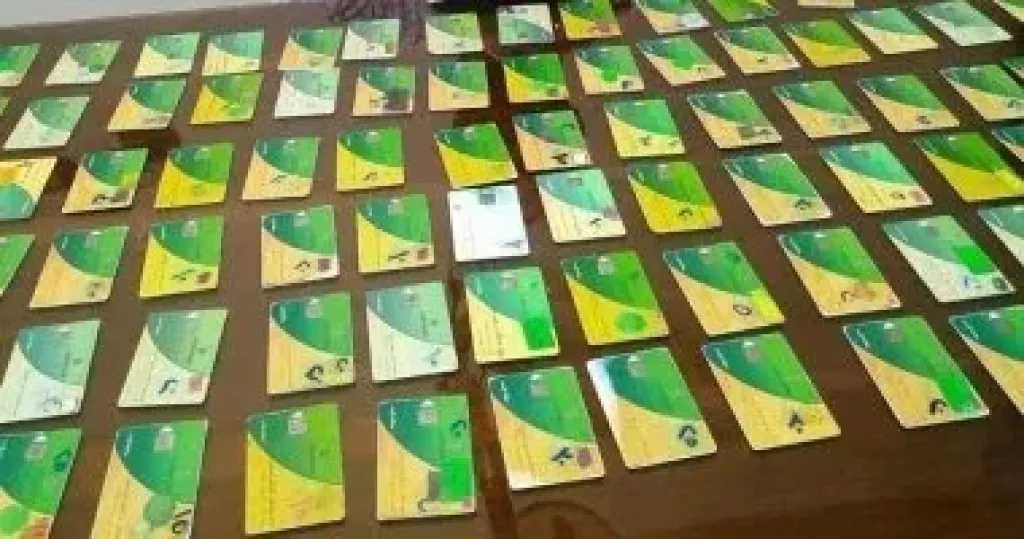 أخبار مصر