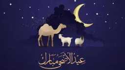تريندات