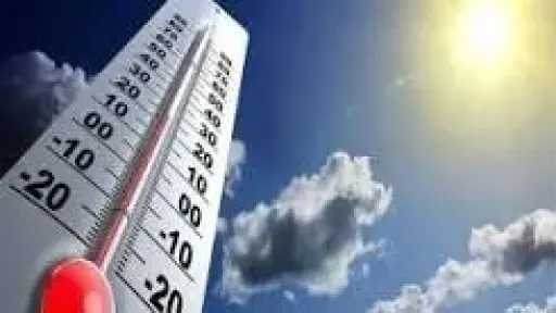 أخبار مصر